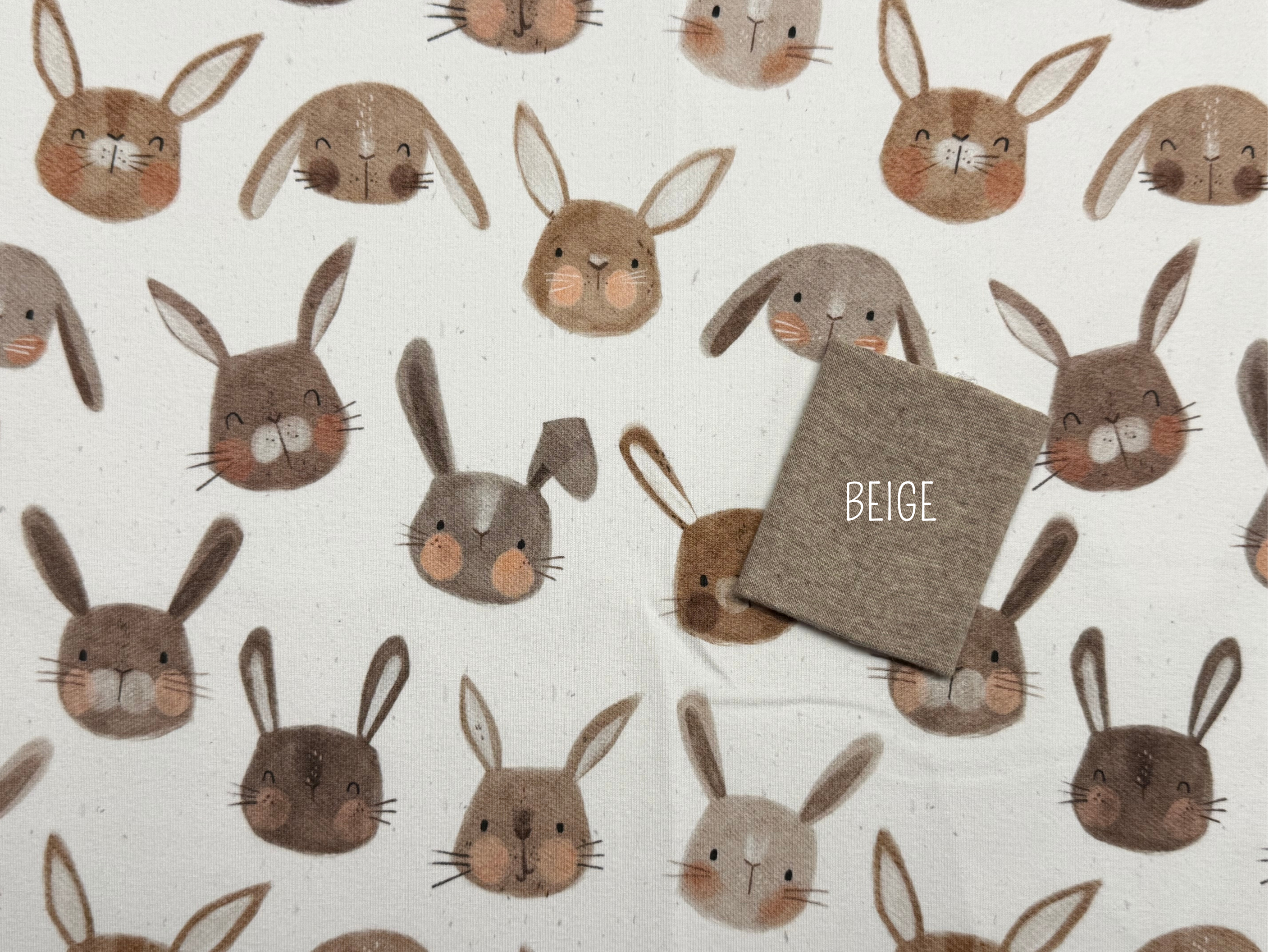 Hase